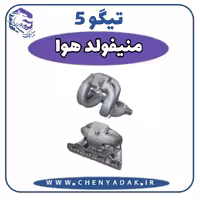 منیفولد هوا چری تیگو 5