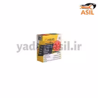 رینگ موتور پراید استاندارد مارموت