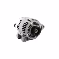 دینام کیا کارنیوال