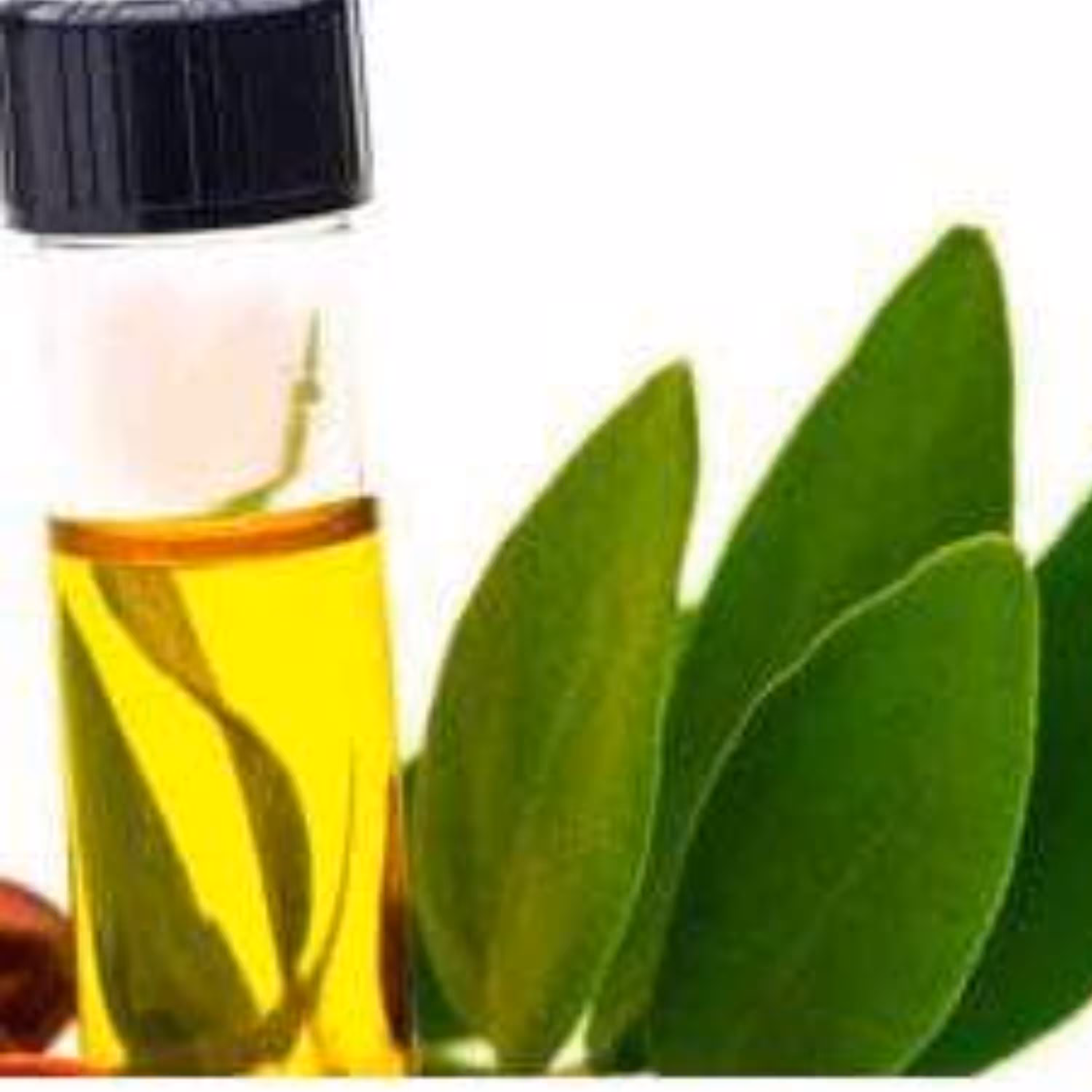 روغن جوجوبا
