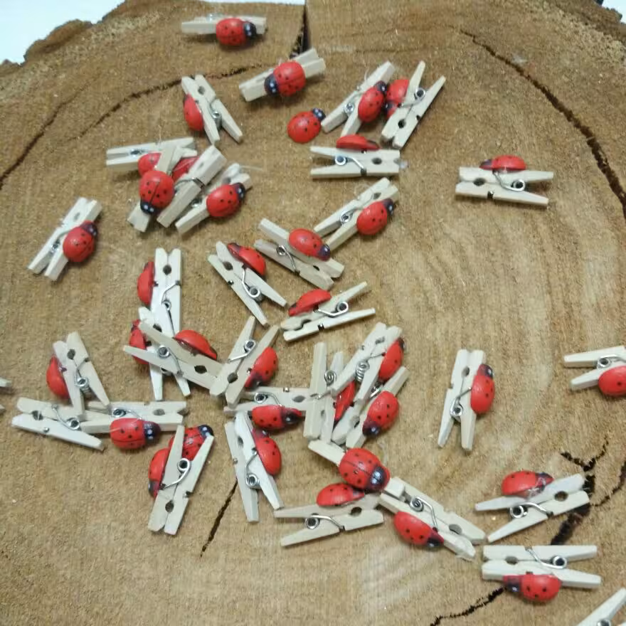گیره لباس