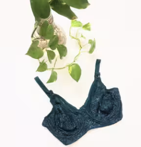 سوتین دانتل