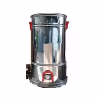 لباسشویی و پتوشور 30 کیلویی گیربکسی پیوژن