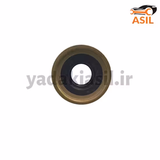 کاسه نمد تعویض دنده 405 اتو پارت