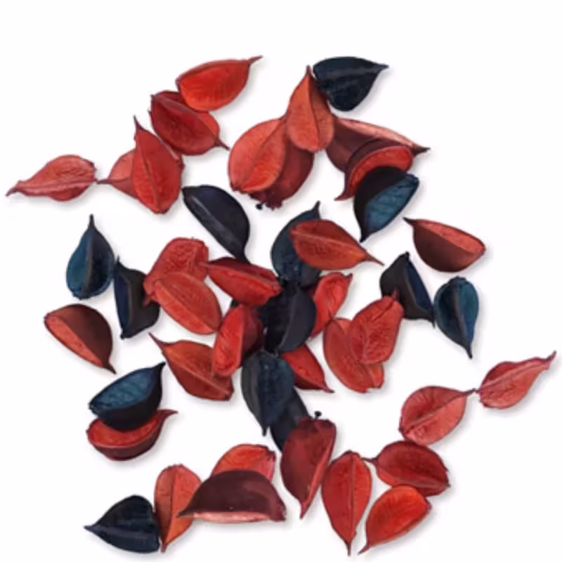 گل خشک قرمز و مشکی جهت تزیین شمع وزن 100  گرم | amazonchi