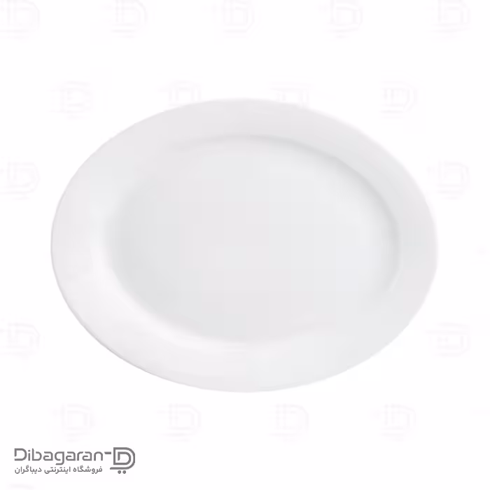 دیس چینی زرین مدل هتلی 49 سایز 35