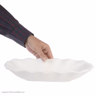 ظرف سرو کد 3025