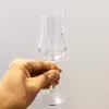 لیوان پاشاباغچه مدل GRAPPA کد 440111 بسته 6 عددی