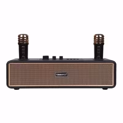 اسپیکر بی سیم Tranyoo مدل T-BM22 - مشکی