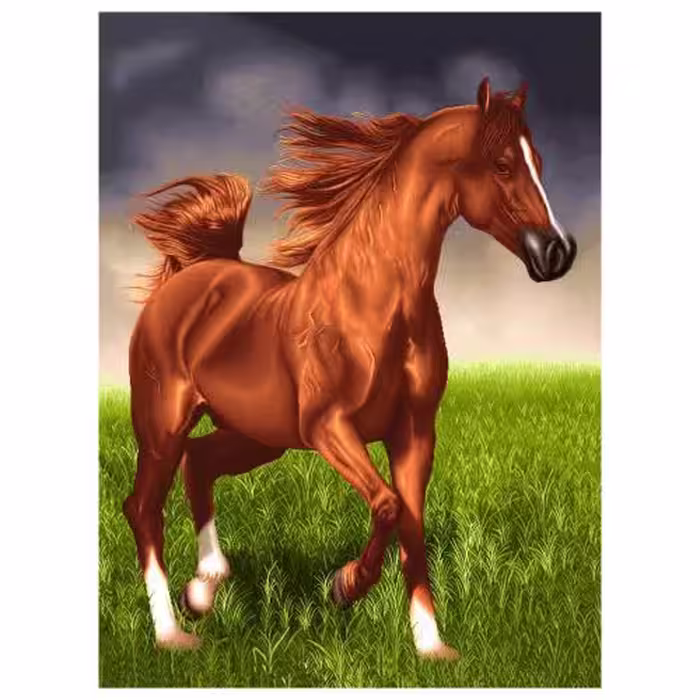 حیوانات مدل اسب کد 26056