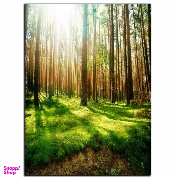 تابلو شاسی بکلیت طرح جنگل و روزنه نور مدل SH-S1141