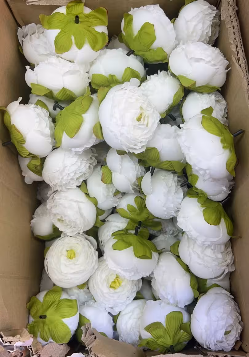 سرگل پیونی بزرگ رنگ سفید 10عددی