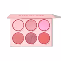 پالت رژ گونه شیگلم Floral flush Bouquet