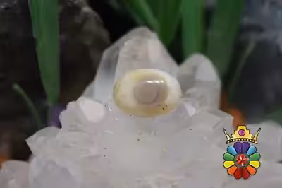 عقیق باباقوری