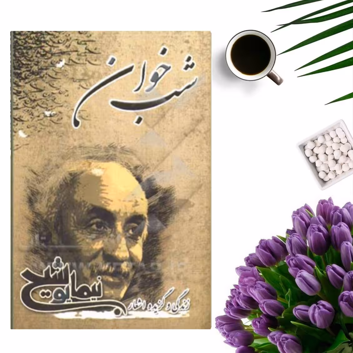 کتاب زندگی و گزیده اشعار نیما یوشیج ( شب خوان) انتشارات سایه آرا