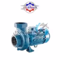 پمپ آب استخری پنتاکس مدل CS150/2