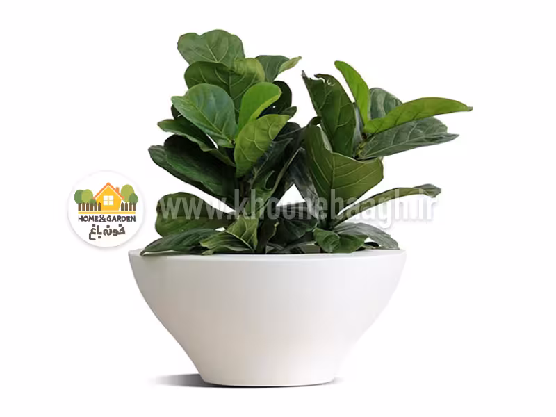 گلدان وارداتی مدل برلین