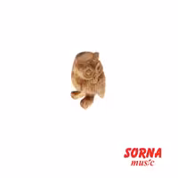 افکت Owl flute H 10 cm