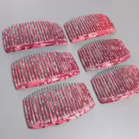 شانه موی سر بسته6 عددی