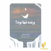کتاب پرنده تنها بود! اثر محمد رمضانی، نشر سروش