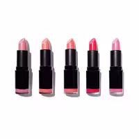 پک 5 عددی رژلب مات رولوشن رنگ MATTE PINKS