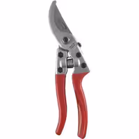 قیچی باغبانی گرین استار تایوانی