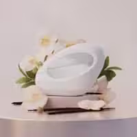 عطر آریانا گاند مود وانیلا زنانه (گرم/شیرین)پایان