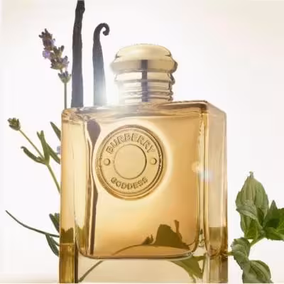 عطر بربری گادس
