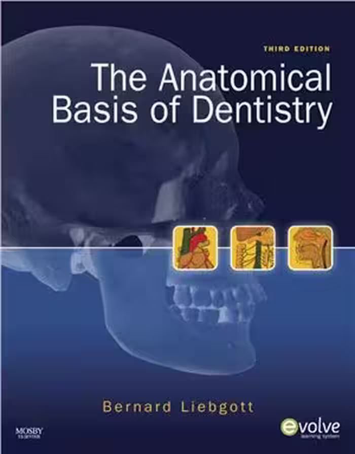 خرید و دانلود نسخه کامل کتاب The Anatomical Basis of Dentistry