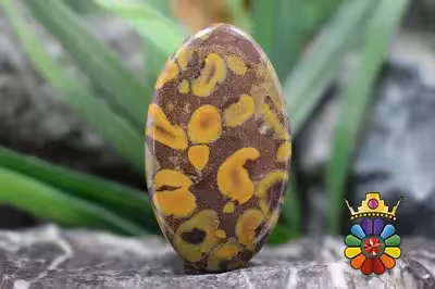 فوروت جاسپر  (جاسپر میوه ای)