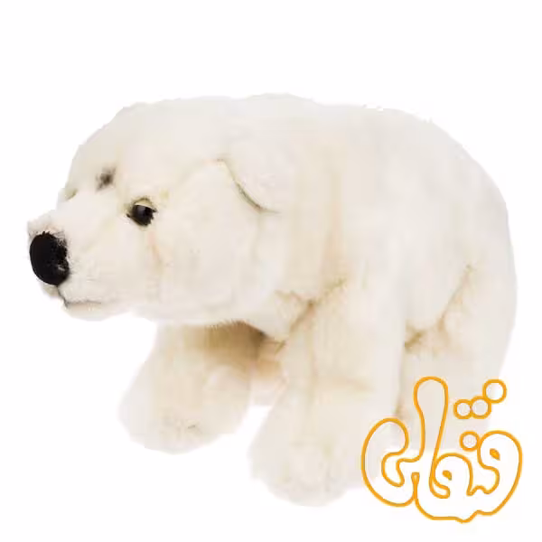 خرس قطبی 770723