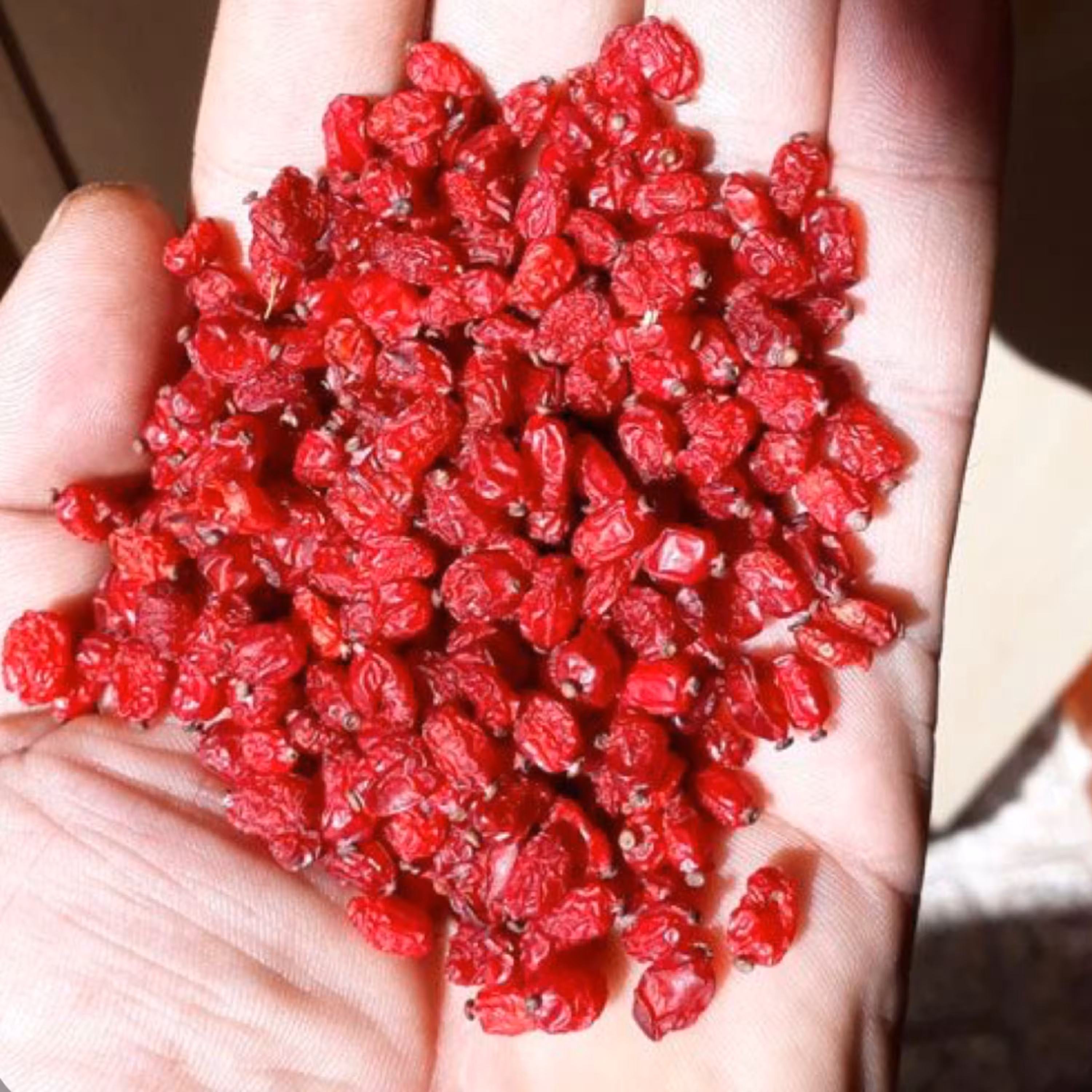 زرشک دانه اناری ممتاز - 500 گرم