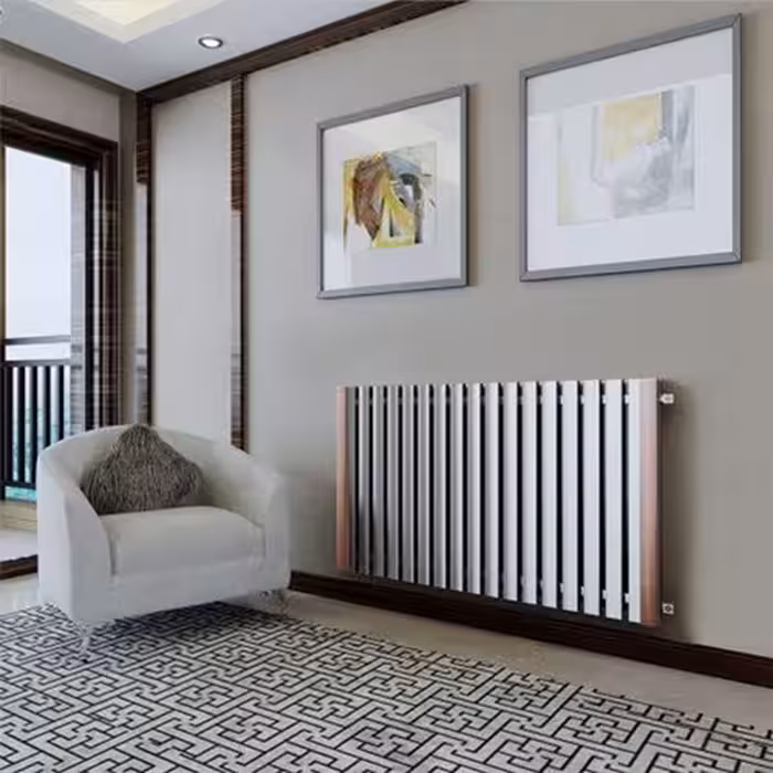 رادیاتور دکوراتیو استیل دیما مدل 2F