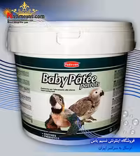 سرلاک نوزاد طوطی 1 کیلویی پادوان
