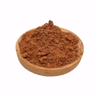پودر کاکائو هلندی 200 گرمی