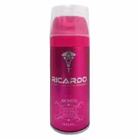 اسپری خوشبو کننده زنانه با رایحه شنل چنس 150ML ریکاردو