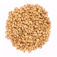 تخمه محبوبی شور فله ای 1000 گرمی