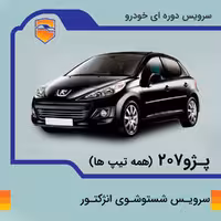 سرویس شست و شوی انژکتور پژو 207