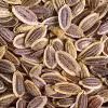 میوه  شوید