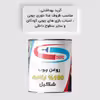 روغن چوب گیاهی سیاه شکیل مدل FSG-BLACK حجم 200 میلی لیتر