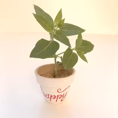 گلدان سفالی پاستل گالرئ مدل یاقوت کد 3