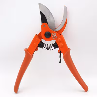 قیچی باغبانی مدل کوییک کد YP-AZ-ROKESHDAR-22CM