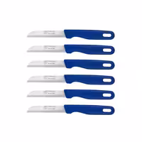 کارد میوه‌خوری 6 عددی زولینگن آلمان آبی