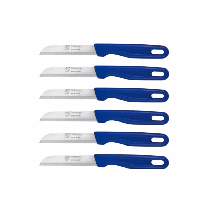 کارد میوه‌خوری 6 عددی زولینگن آلمان آبی