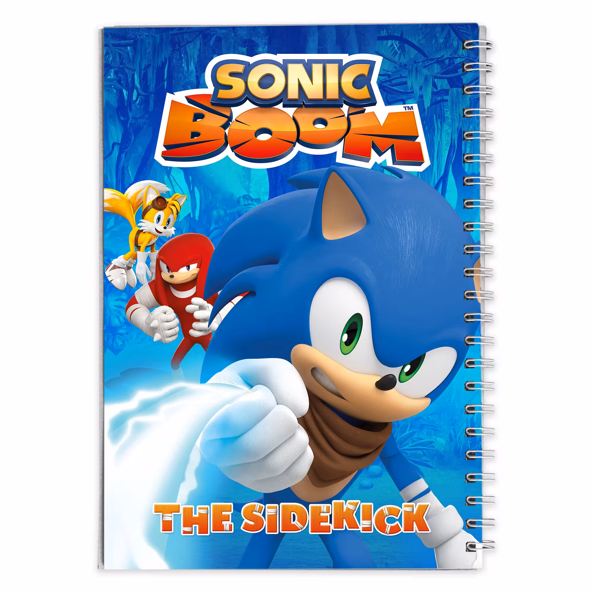 دفتر مشق کارتون سونیک