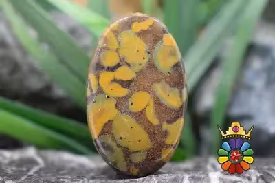 فوروت جاسپر  (جاسپر میوه ای)