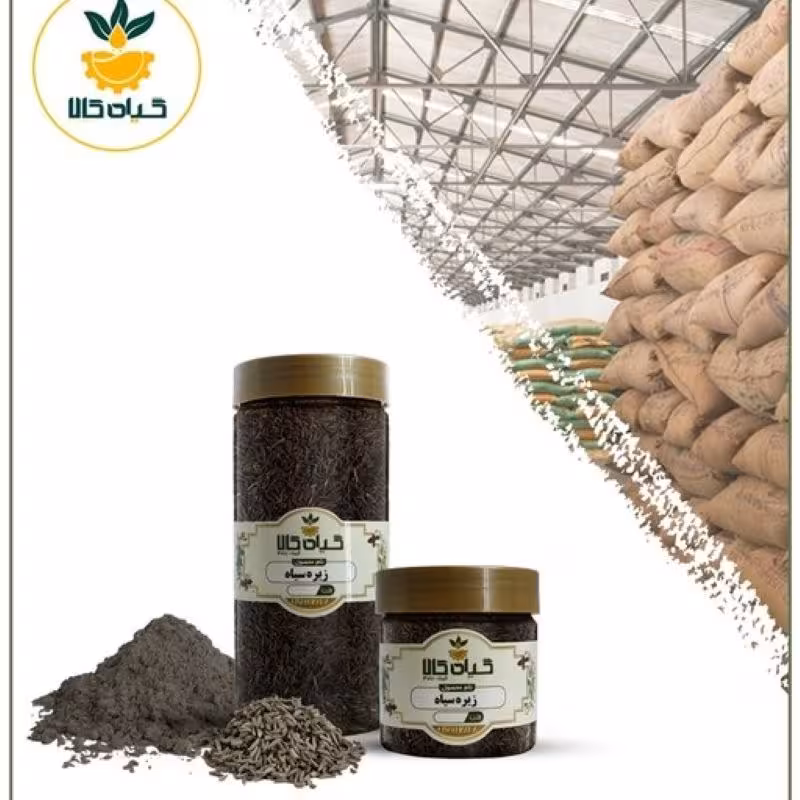  ادویه زیره سیاه با کیفیت عالی، بار امسالی و تازه(200گرم)