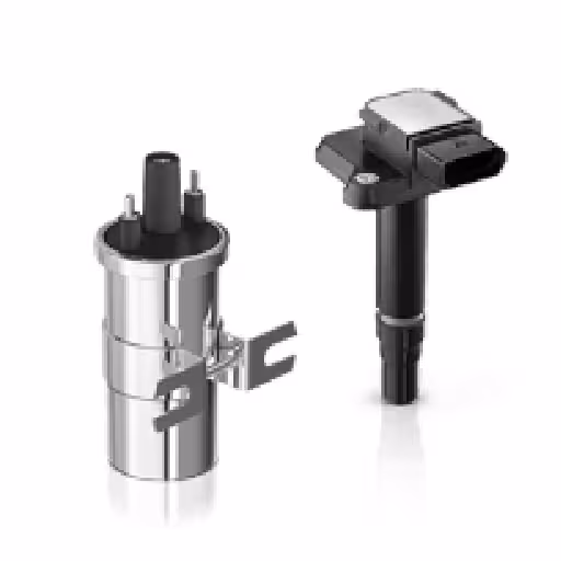 کوئل دیگنیتی