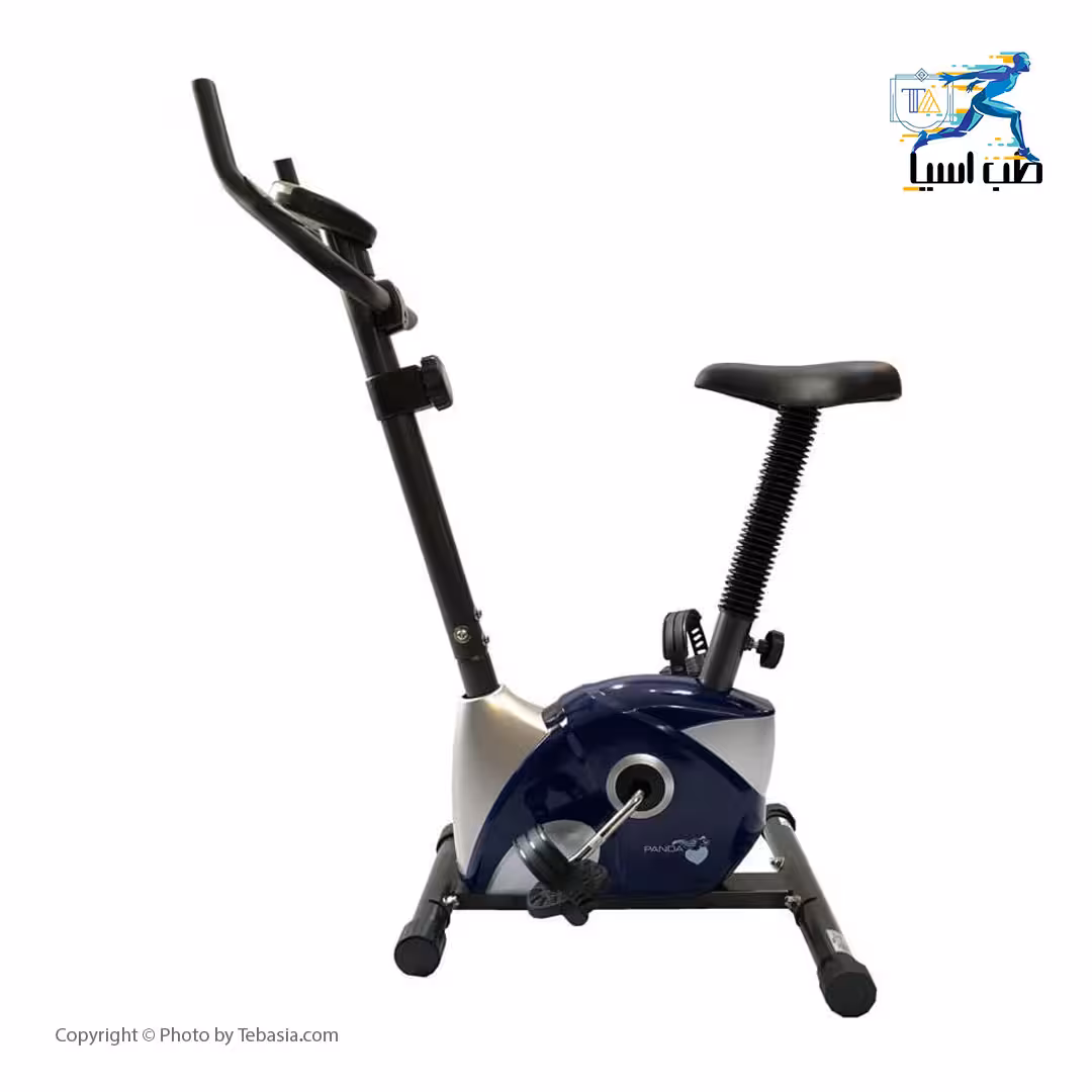 دوچرخه ثابت پاندا B533