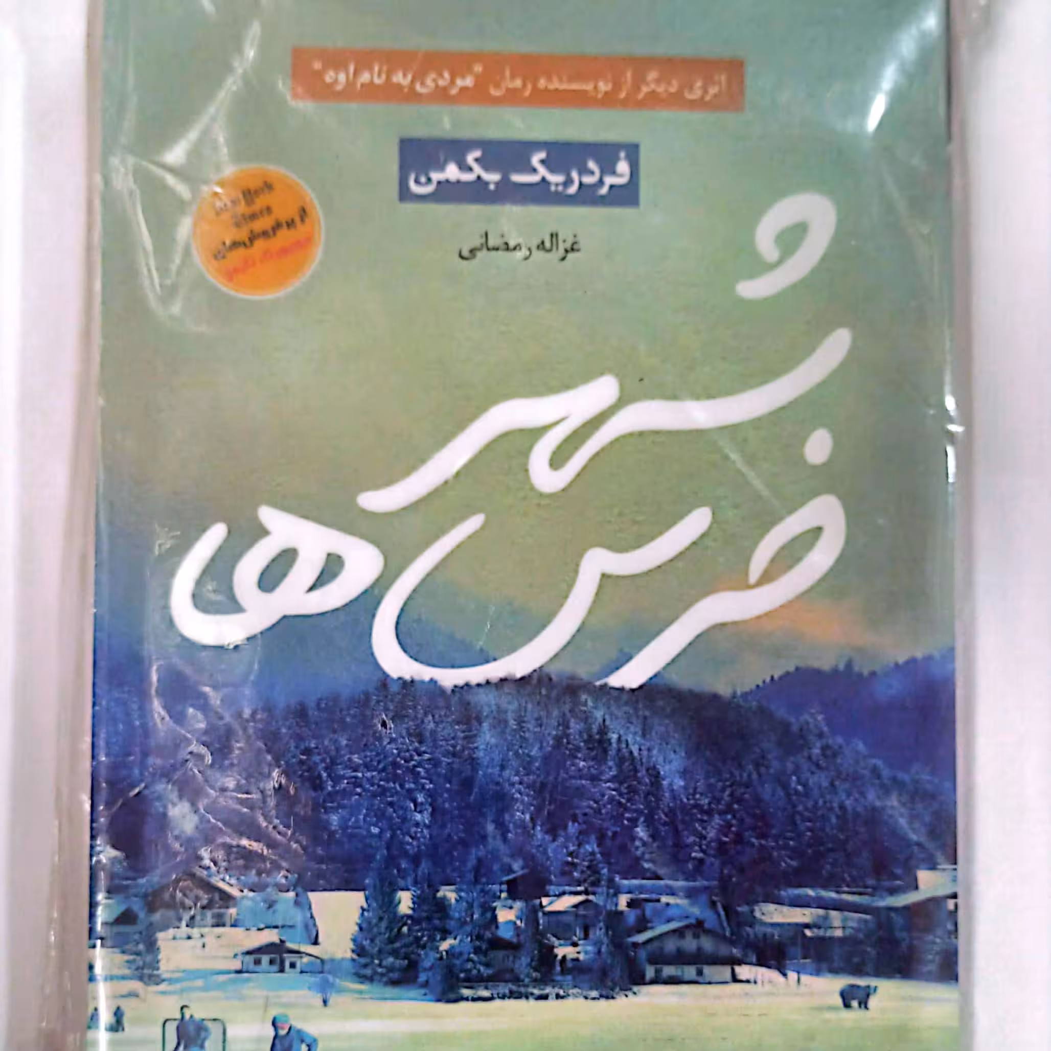 کتاب شهر خرس ها اثر فردریک بکمن